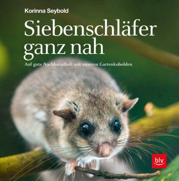 BLV Verlag | Siebenschläfer ganz nah