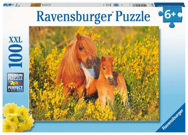 Ravensburger | Shetlandponys
