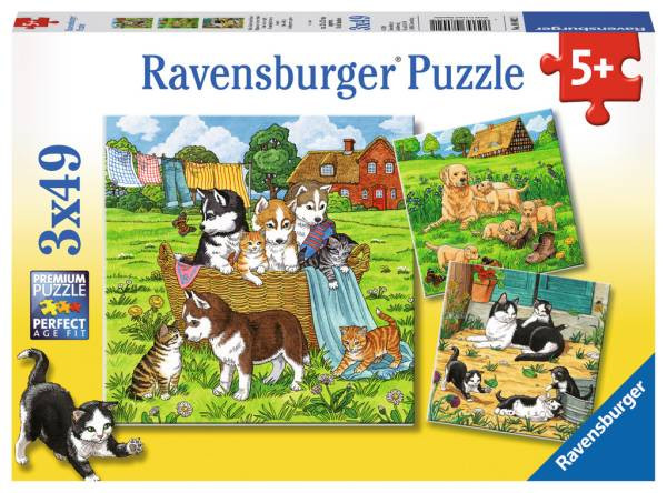 Ravensburger | Puzzle | Süße Katzen und Hunde | 3x49 Teile