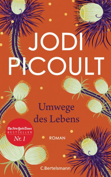C. Bertelsmann | Umwege des Lebens | Picoult, Jodi