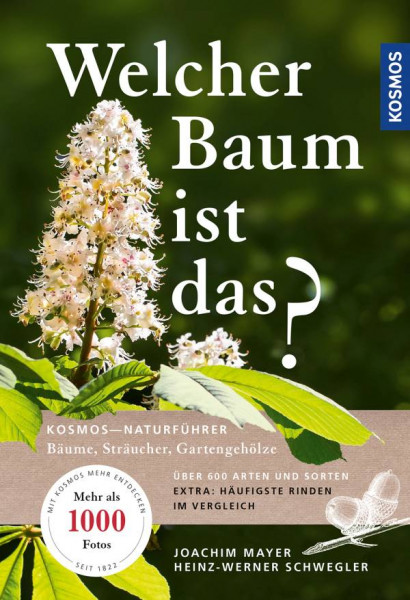 Kosmos | Welcher Baum ist das?