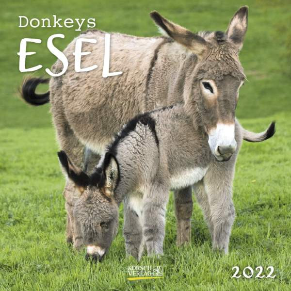 Korsch Verlag | Esel 2022 | 