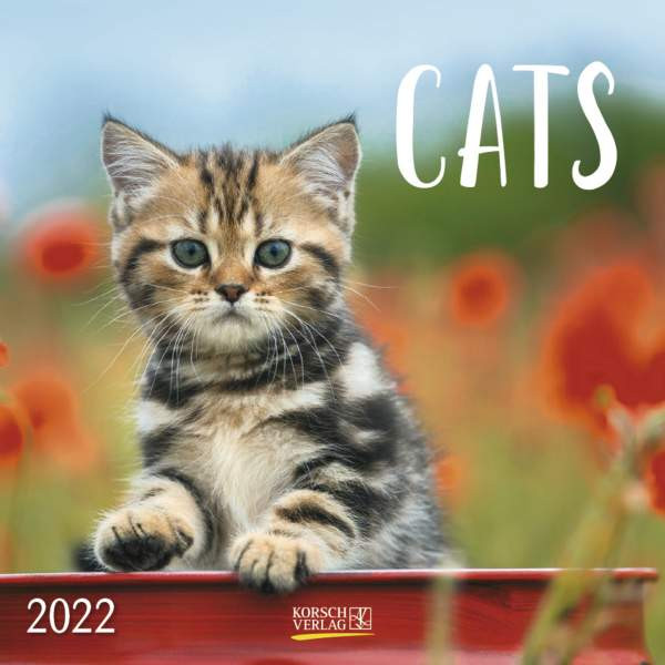 Korsch Verlag | Cats 2022 | 