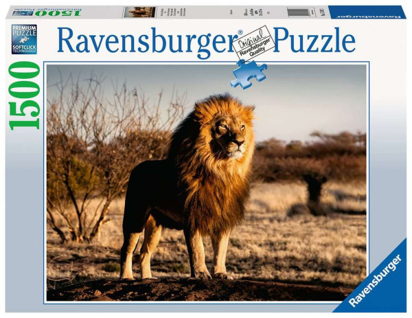 Löwe zum Puzzlen 