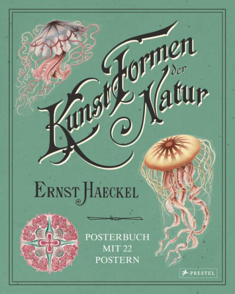 Prestel | Ernst Haeckel: Kunstformen der Natur. Posterbuch mit 22 Postern