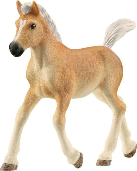 Schleich |schleich® Horse Club  Haflinger Fohlen | 13951